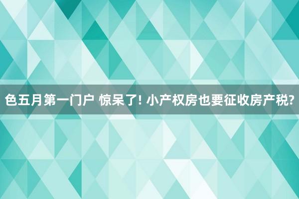 色五月第一门户 惊呆了! 小产权房也要征收房产税?