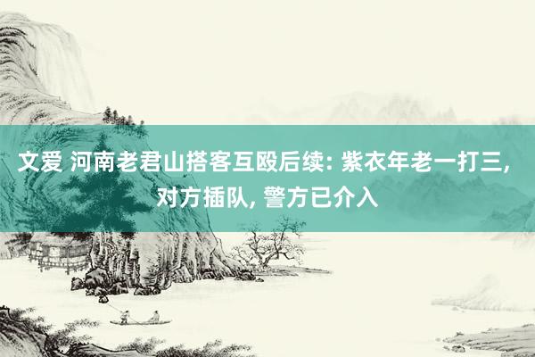 文爱 河南老君山搭客互殴后续: 紫衣年老一打三， 对方插队， 警方已介入