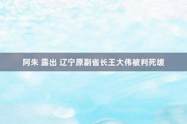 阿朱 露出 辽宁原副省长王大伟被判死缓