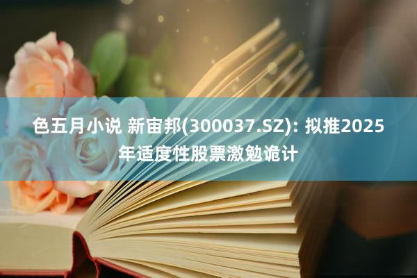 色五月小说 新宙邦(300037.SZ): 拟推2025年适度性股票激勉诡计